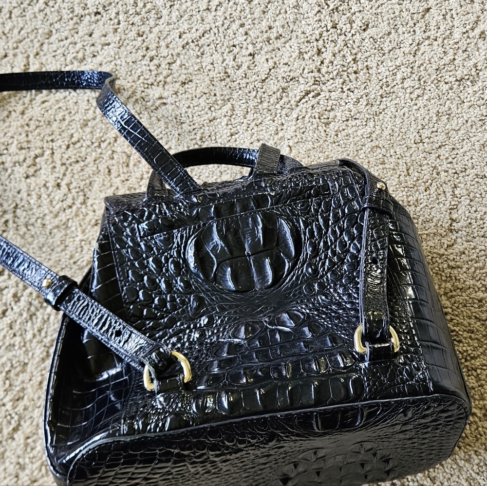Brahmin - Picture 5 of 7